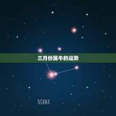 三月份属牛的运势，属牛农历3月二十八男孩运程怎么样