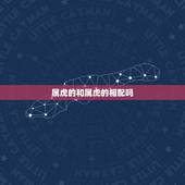 属虎的和属虎的相配吗，属虎的男人和属虎的女人相配吗