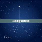85年婚姻今年有问题，85年农历七月初八己时出生，何时才能有婚姻。非专