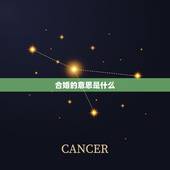 合婚的意思是什么，请问合婚是什么意思？一般通过什么合婚啊？