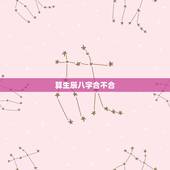 算生辰八字合不合，算生辰八字合不合？~~~急~~~