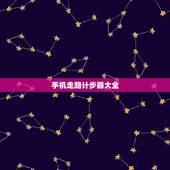 手机走路计步器大全，手机页面安装每天行走的步数