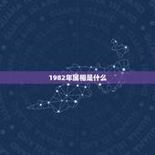 1982年属相是什么，82年属相是什么生肖呢
