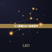 十二属相2021全年运气，十二生肖2021年运势及运程每月运程