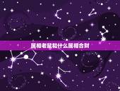 属相老鼠和什么属相合财，属猪的和属兔在2015财气怎样
