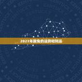 2021年属兔的运势和财运，属兔人2021年运势运程每月运程
