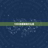 1995年属猪是什么命，属猪的1995年是什么命