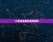 19年生肖兔的运势如何