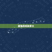 属兔的年龄多大，属兔更大年龄是多少岁