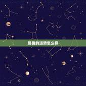 属猪的运势怎么样，2022属猪人的全年运势如何