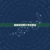 属猴招财图片手机壁纸，手机用什么样壁纸能招财