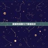 属猪的和那几个属相犯冲，猴属相和哪个属相绝配