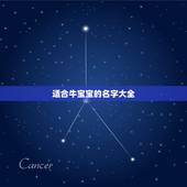 适合牛宝宝的名字大全，适合牛宝宝的男孩名字有什么？