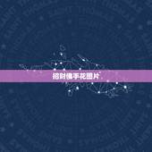 招财佛手花图片，招财佛手花好养吗？