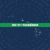 阳历1月11号生是属啥属相，农历1998年1月11号出生的是属什么生肖