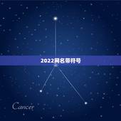 2022网名带符号，好听的网名（带符号）