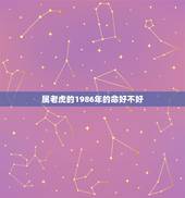 属老虎的1986年的命好不好，2022年的老虎是什么命