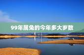 99年属兔的今年多大岁数，属兔的今年多大