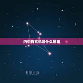 内中有玄机是什么属相，话里有话找玄机是什么生肖