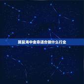 属鼠海中金命适合做什么行业，海中金命适合在什么行业中发展，