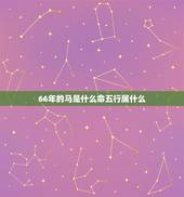 66年的马是什么命五行属什么，66年的马到底是火命还是水命