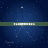 男兔的婚配属相相配吗，男兔和什么属相最配
