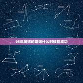 95年属猪的婚姻什么时候能成功，95年属猪与属猪的姻缘咋样