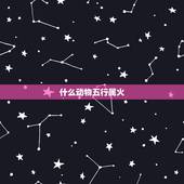 什么动物五行属火，12生肖什么动物属火
