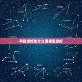 羊鼠结婚生什么属相宝宝好，我属鼠老公属羊，生什么属相的孩子好呢？