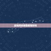 蛇和鸡的婚配属相好吗，生肖蛇跟什么最配，属蛇的属相婚配表