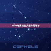 1983年属猪的大运年是哪年，1983年属猪的大运年是哪年
