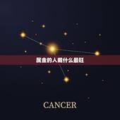 属金的人戴什么最旺，金命缺木最适合戴什么