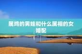 属鸡的男娃和什么属相的女婚配，属鸡人不能和属什么属相人合作
