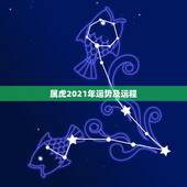 属虎2021年运势及运程，74年属虎2021年运势及运程