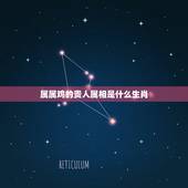 属属鸡的贵人属相是什么生肖，属鸡和什么属相和财