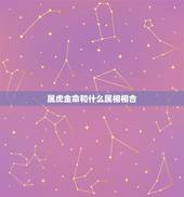属虎金命和什么属相相合，属虎和什么属相相克