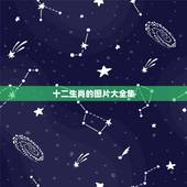 十二生肖的图片大全集，12生肖拟人美女图
