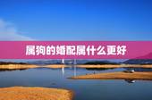 属狗的婚配属什么更好，82男狗75女兔婚配好吗