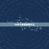 54岁今年属相是什么，54岁属什么？