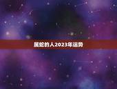 属蛇的人2023年运势(事业稳步上升财运亨通)