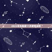 2022年水瓶座11月爱情运势，水瓶座十一月份运势