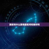 属蛇和什么属相最配鸡和猪好吗，属蛇的和什么属相最配