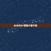 85女牛87男兔六亲不和，85与87年喝吗