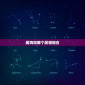 属狗和哪个属相相合 属狗的和属猴的属相合不合