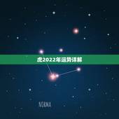 虎2022年运势详解，1986属虎女人2022年的运气