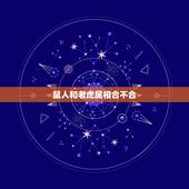 鼠人和老虎属相合不合，属鼠的和属虎的合不合？