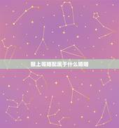 猴上等婚配属于什么婚姻，属猴的和什么属相最相配 12属相婚配表