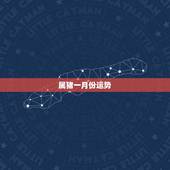 属猪一月份运势，属龙人一月份运势