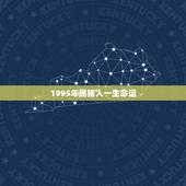 1995年属猪人一生命运，1995年属猪是什么命 1995年出生人的命