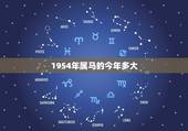 1954年属马的今年多大，1966人属马53岁后命运